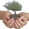 Winter Landscaping Specials