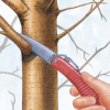 Why Winter is the Best Time to Trim Trees in Texas