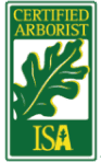 Certified Arborist in Waco