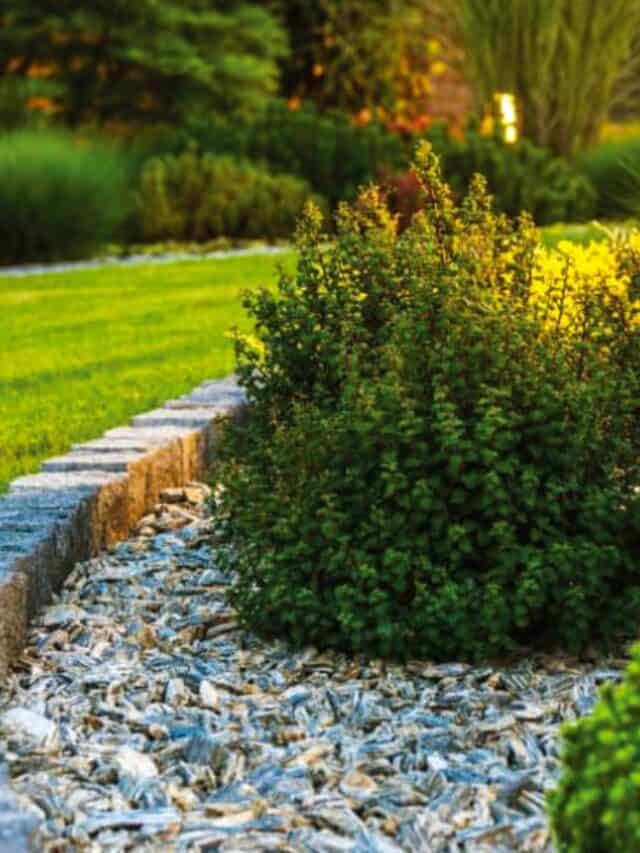 Enhance Your Outdoor Space with Professional Landscaping Services