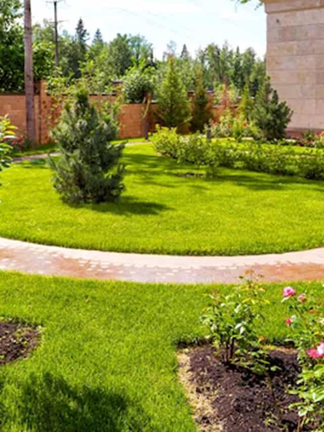 Enhance Your Outdoor Space: Landscape Services in Waco, TX